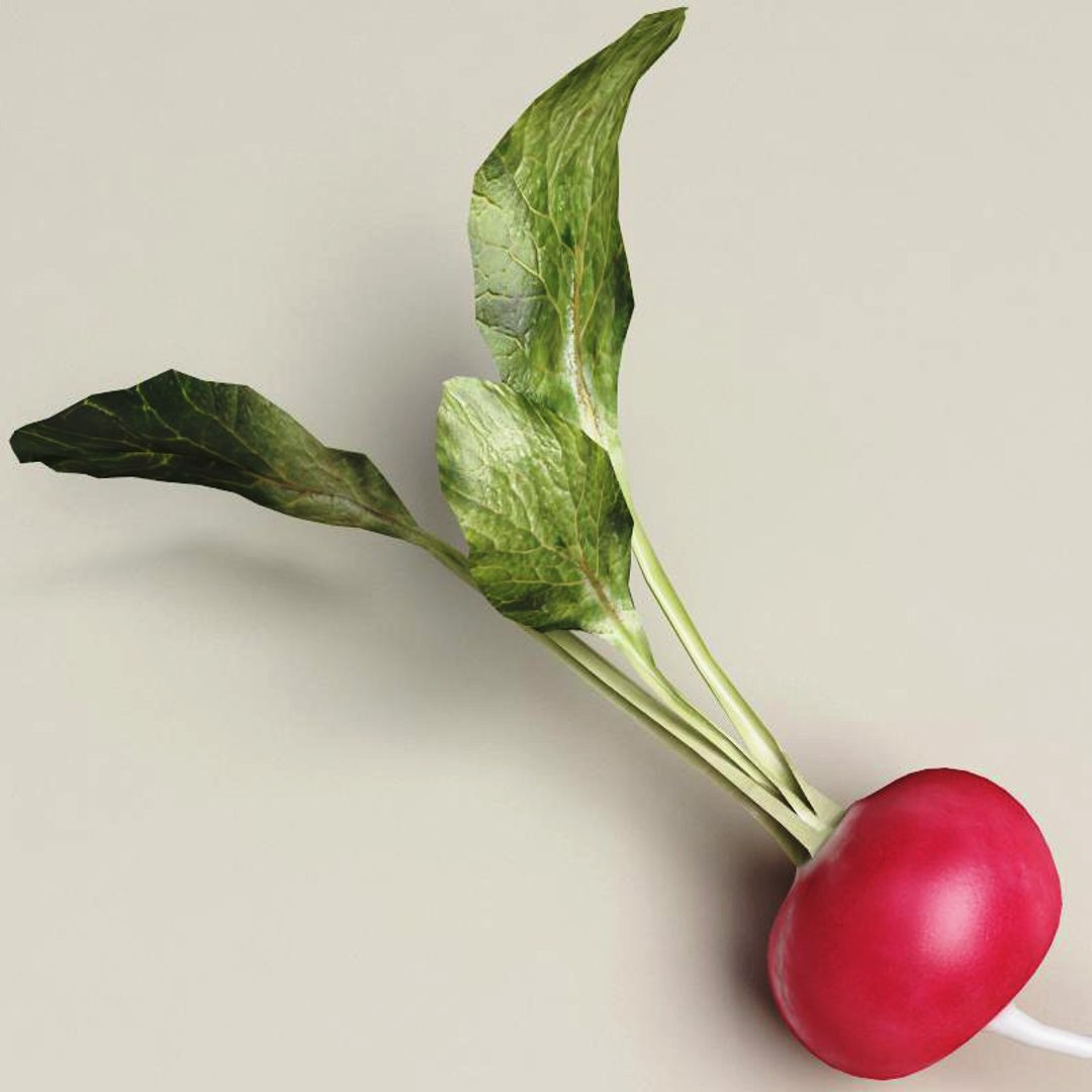 radish modelled 3ds https://p.turbosquid.com/ts-thumb/UQ/yEkzN6/4coevIur/radish_5/jpg/1252866214/1920x1080/fit_q87/e7dced715144aff70637881866b0ba0c3c7556d3/radish_5.jpg