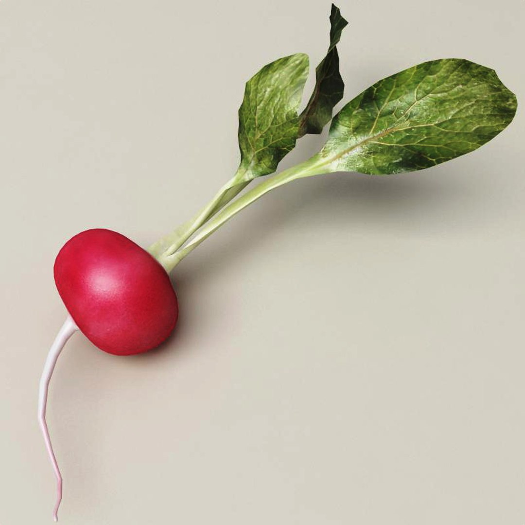 radish modelled 3ds https://p.turbosquid.com/ts-thumb/UQ/yEkzN6/TLANP24Q/radish_3/jpg/1252866197/1920x1080/fit_q87/4cd3d3c73983355022d3ecf1066f9743c685fa2f/radish_3.jpg