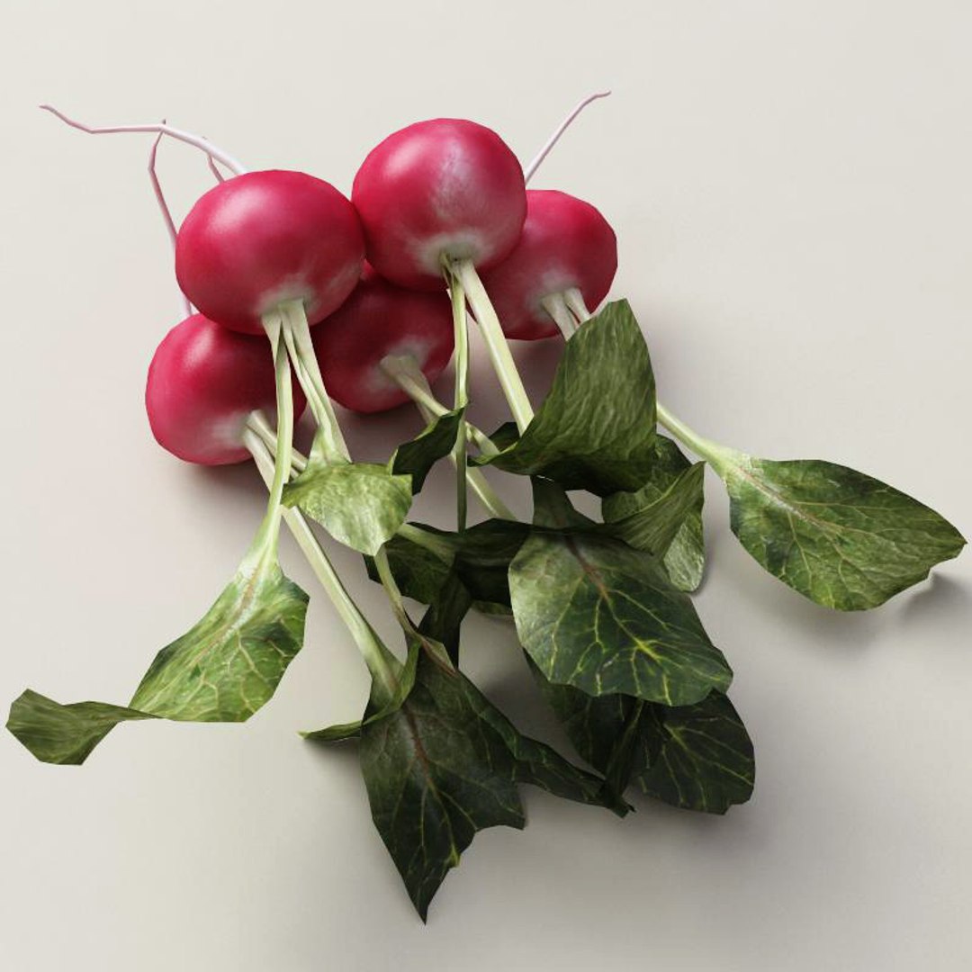 radish modelled 3ds https://p.turbosquid.com/ts-thumb/UQ/yEkzN6/VpRntgXO/radish_2/jpg/1252866170/1920x1080/fit_q87/2c26c64d1d7e5f0d3c1d05c434c2f6df84a6acd2/radish_2.jpg