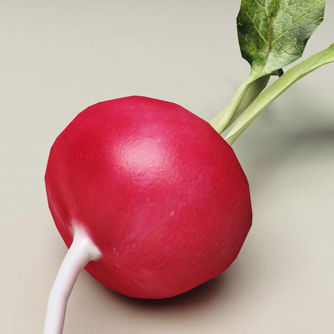 radish modelled 3ds https://p.turbosquid.com/ts-thumb/UQ/yEkzN6/aoeLfVU5/radish_6/jpg/1252866221/1920x1080/fit_q87/1b3c5f4959c9e910a3b7a5cad3f6d03ead682d7e/radish_6.jpg