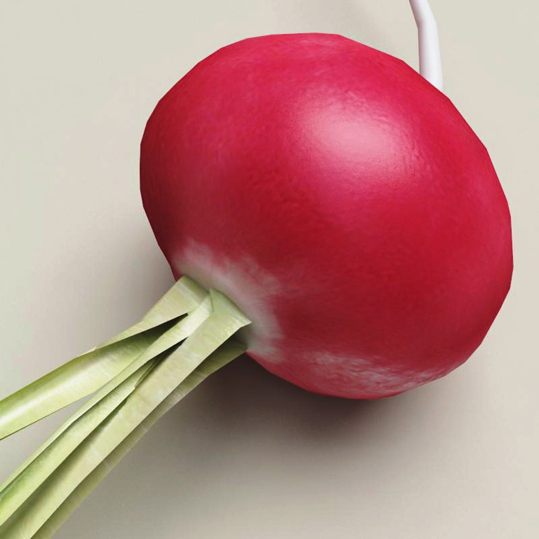 radish modelled 3ds https://p.turbosquid.com/ts-thumb/UQ/yEkzN6/voF0b6RC/radish_7/jpg/1252866229/1920x1080/fit_q87/85f9906ba7d91d7a18f086dbd2f908d18130bd8f/radish_7.jpg