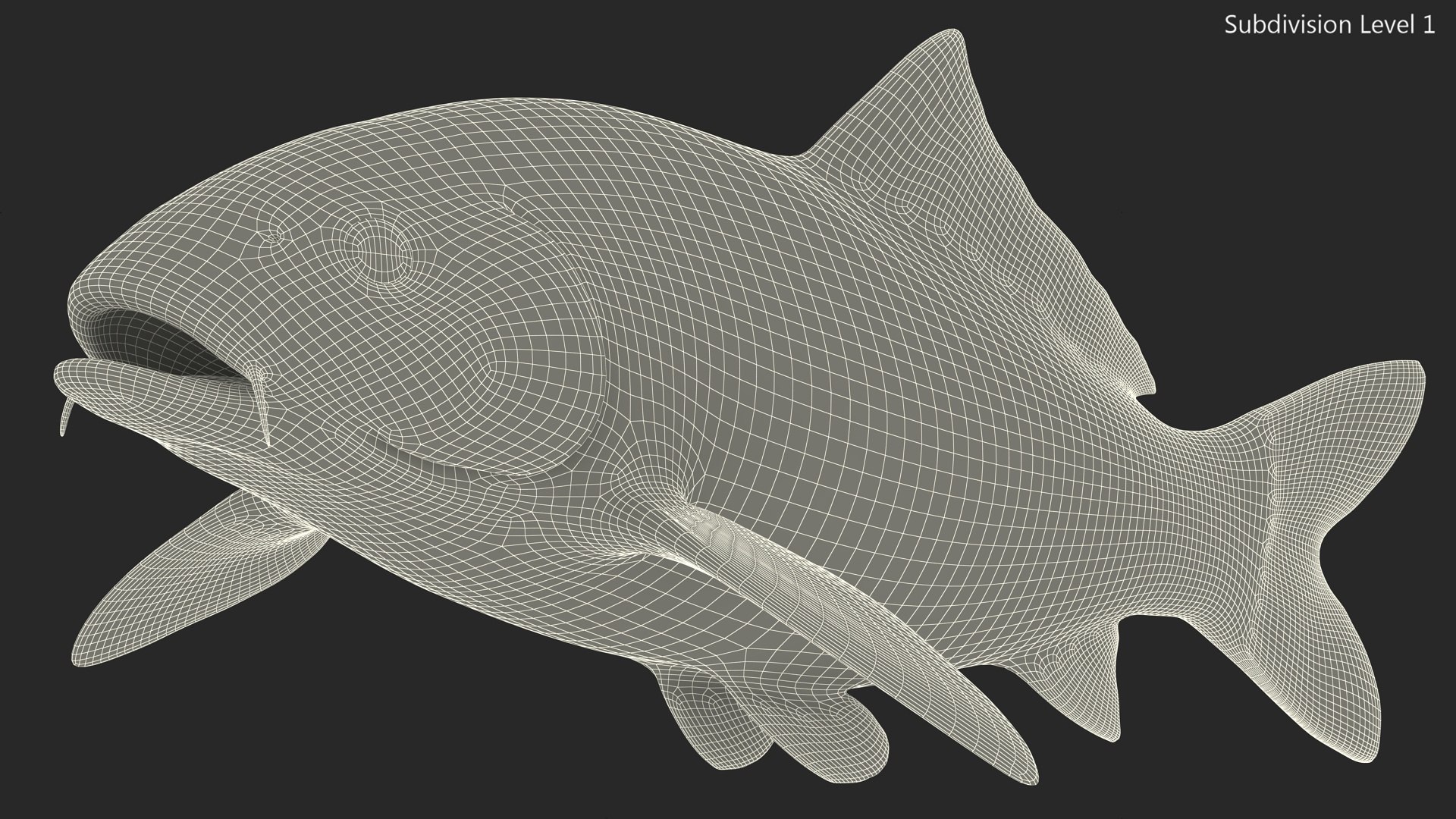 Harivake Koi Fish Model - TurboSquid 2144139