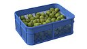 Sugar Apple Plastic Crate