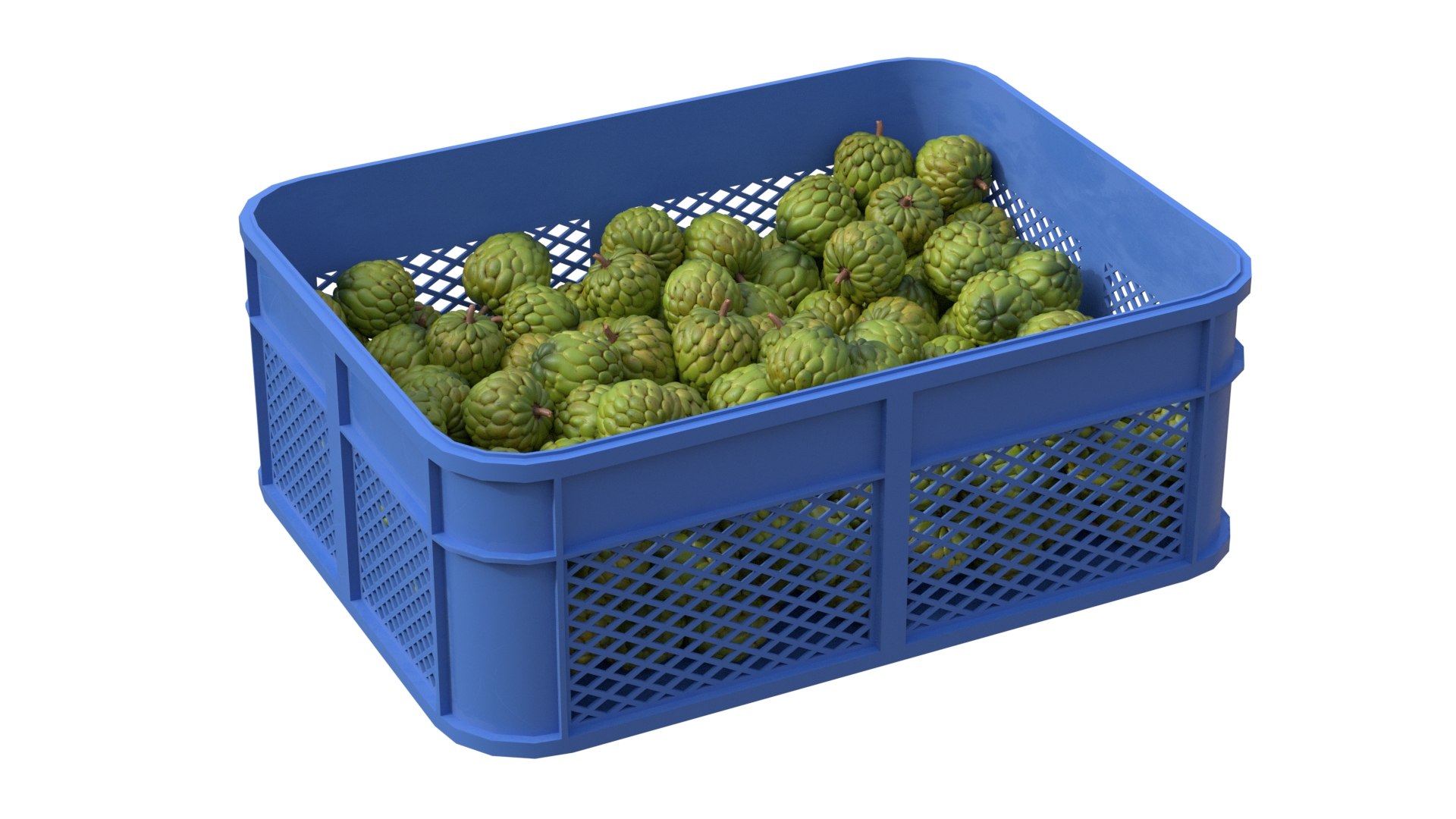 3D model Fruits Plastic Crate Collection https://p.turbosquid.com/ts-thumb/UR/3Qtps0/3m/1/jpg/1778659265/1920x1080/fit_q87/a176fda0f1482acac9d94cd762b84d35612592d1/1.jpg
