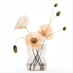 Beautiful  Bouquet  Glass Vase Icelandic Poppy 577 3D model