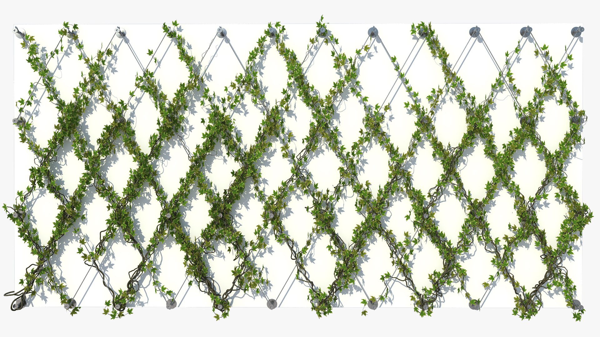 Efeuwand 10 3DModell TurboSquid 1805734