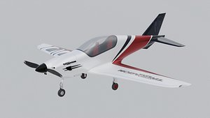 3D Airplane Pelegrin Tarragon