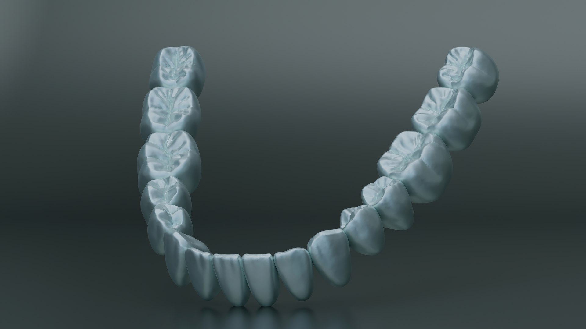 Dental Anatomy And Root Structures 3D Model - TurboSquid 2047768