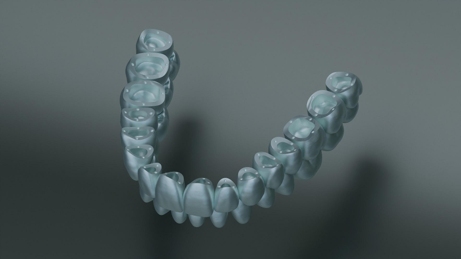 Dental Anatomy And Root Structures 3D Model - TurboSquid 2047768