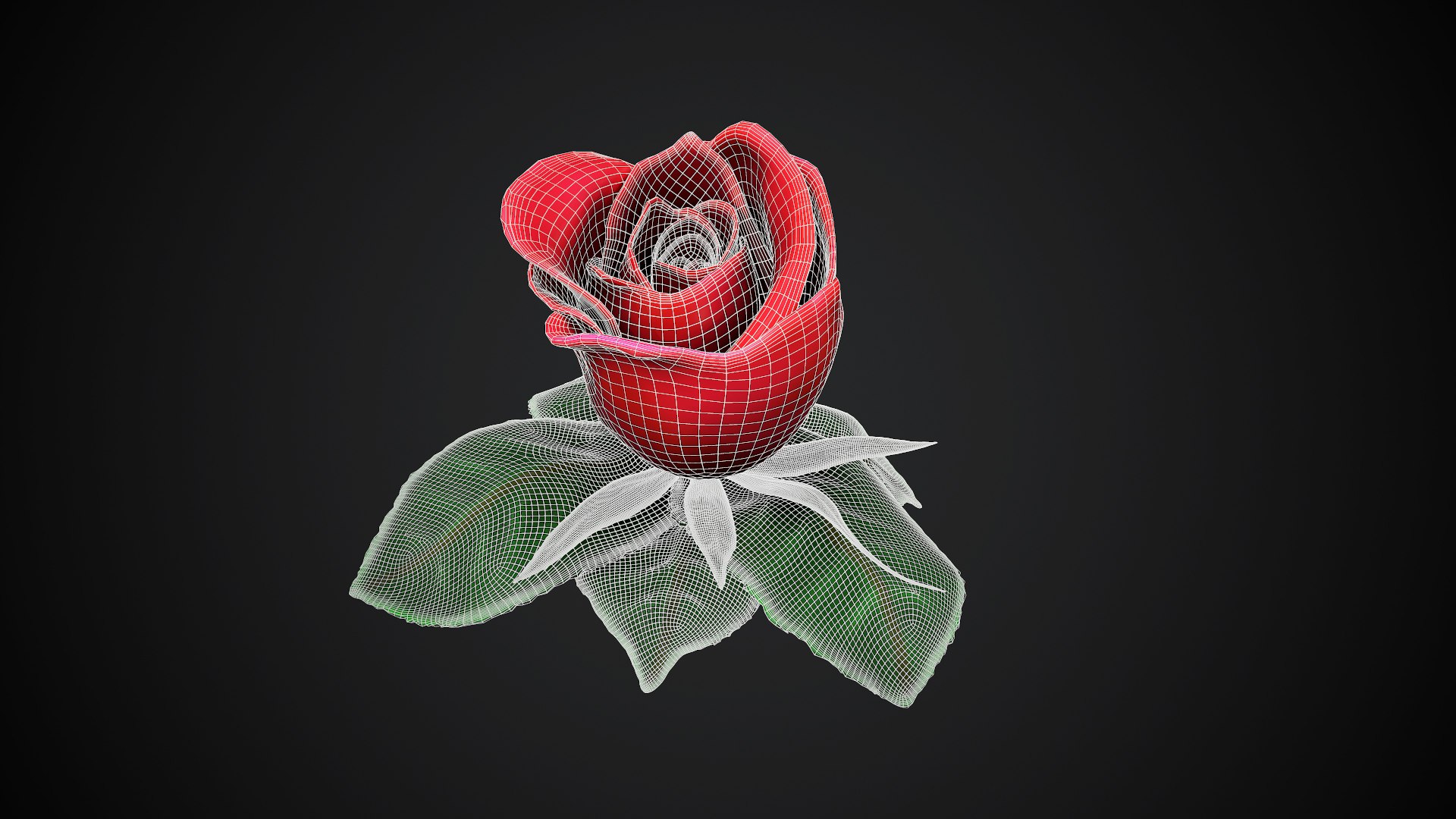 3D 4 Flowers Rose Jasmin - TurboSquid 1594515