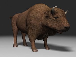 lowPoly Buffalo