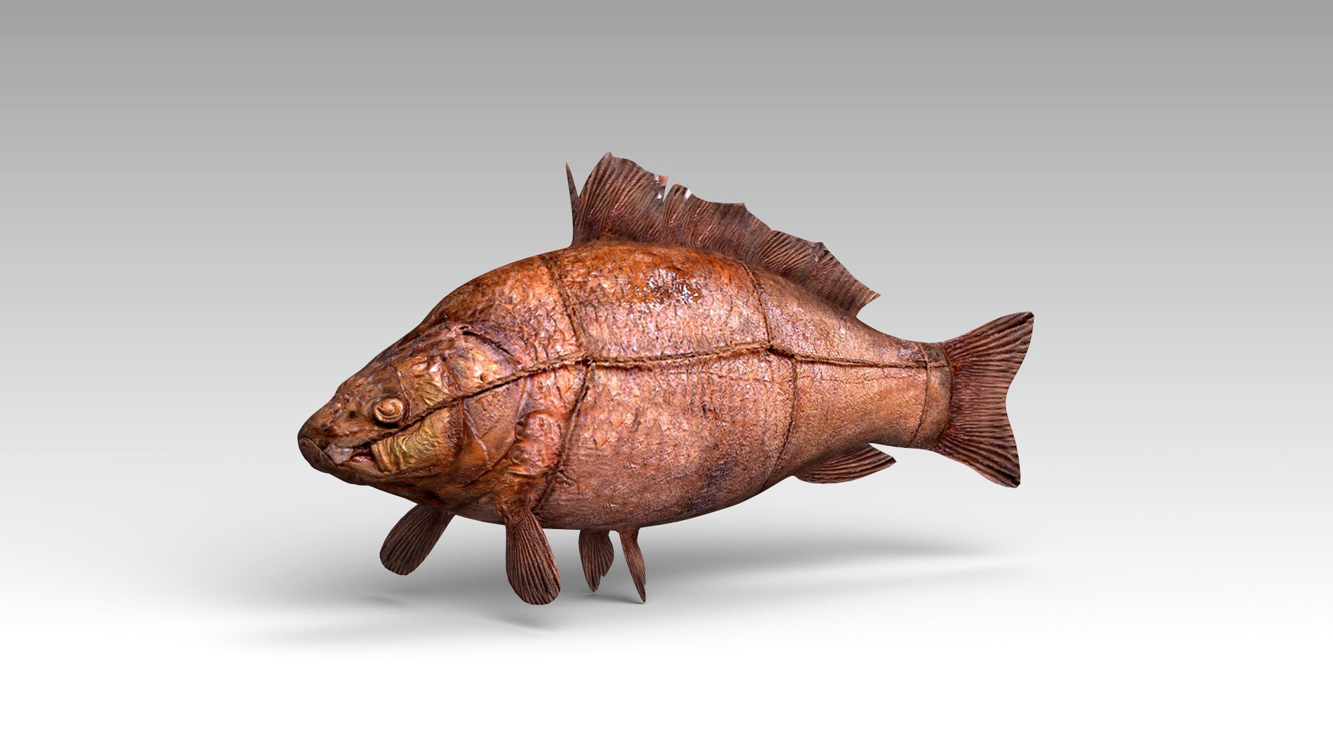 3d fried crucian model https://p.turbosquid.
