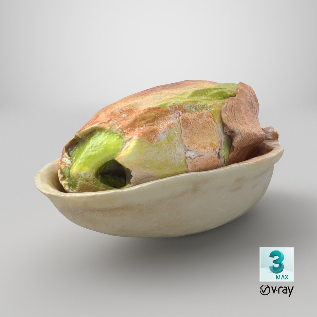 Half Pistachio Nut in Shell 01 model https://p.turbosquid.com/ts-thumb/UR/mA2gJ1/2l/stemcell_max_vray_render/png/1755579557/1920x1080/fit_q87/4192ec483a8b5ccdefb02d6fa4deab44ee0bc0ab/stemcell_max_vray_render.jpg