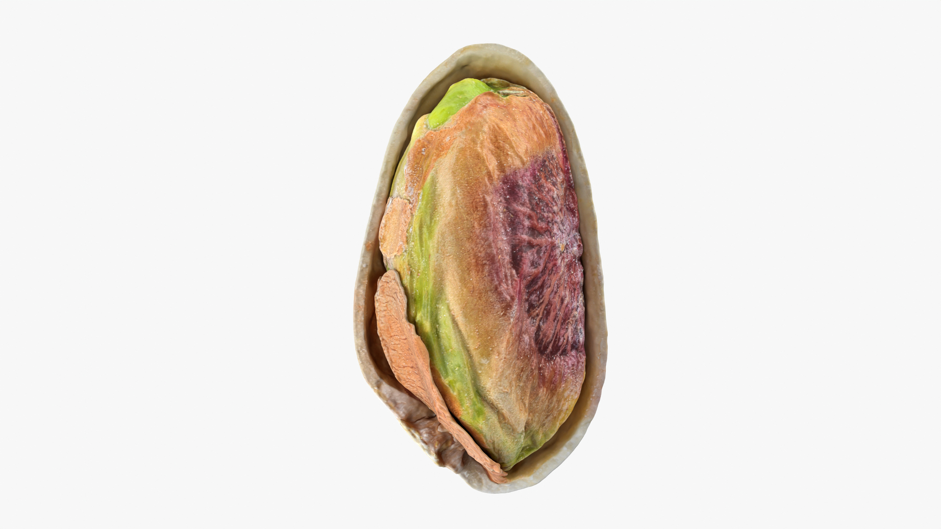 Half Pistachio Nut in Shell 01 model https://p.turbosquid.com/ts-thumb/UR/mA2gJ1/34/v1pistachio/png/1755256952/1920x1080/turn_fit_q99/f35aa978720c4e093531cdd854ec05fc254f66a3/v1pistachio-1.jpg