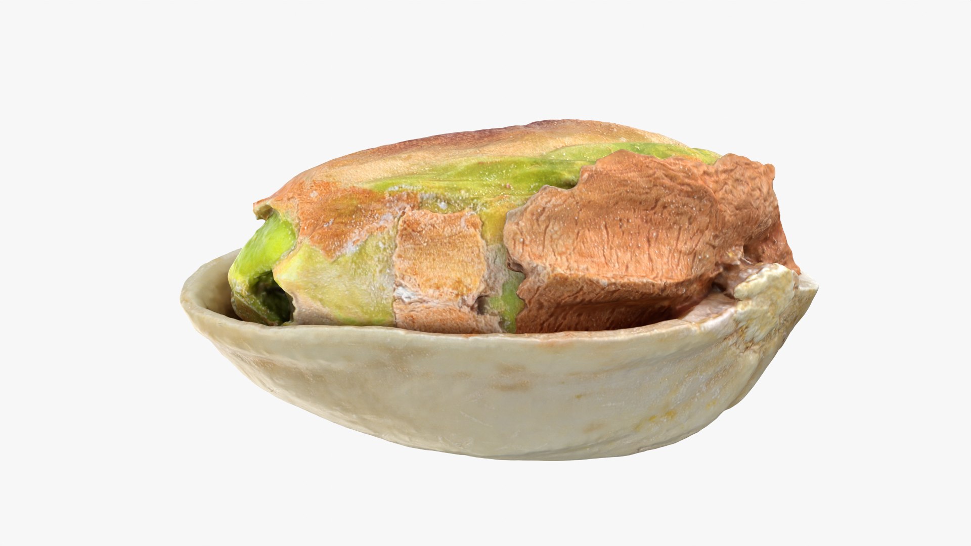Half Pistachio Nut in Shell 01 model https://p.turbosquid.com/ts-thumb/UR/mA2gJ1/3U/pistachio_0002/png/1755256989/1920x1080/fit_q87/8b41ac52286a60c860c9914dcf98fee005c8660b/pistachio_0002.jpg