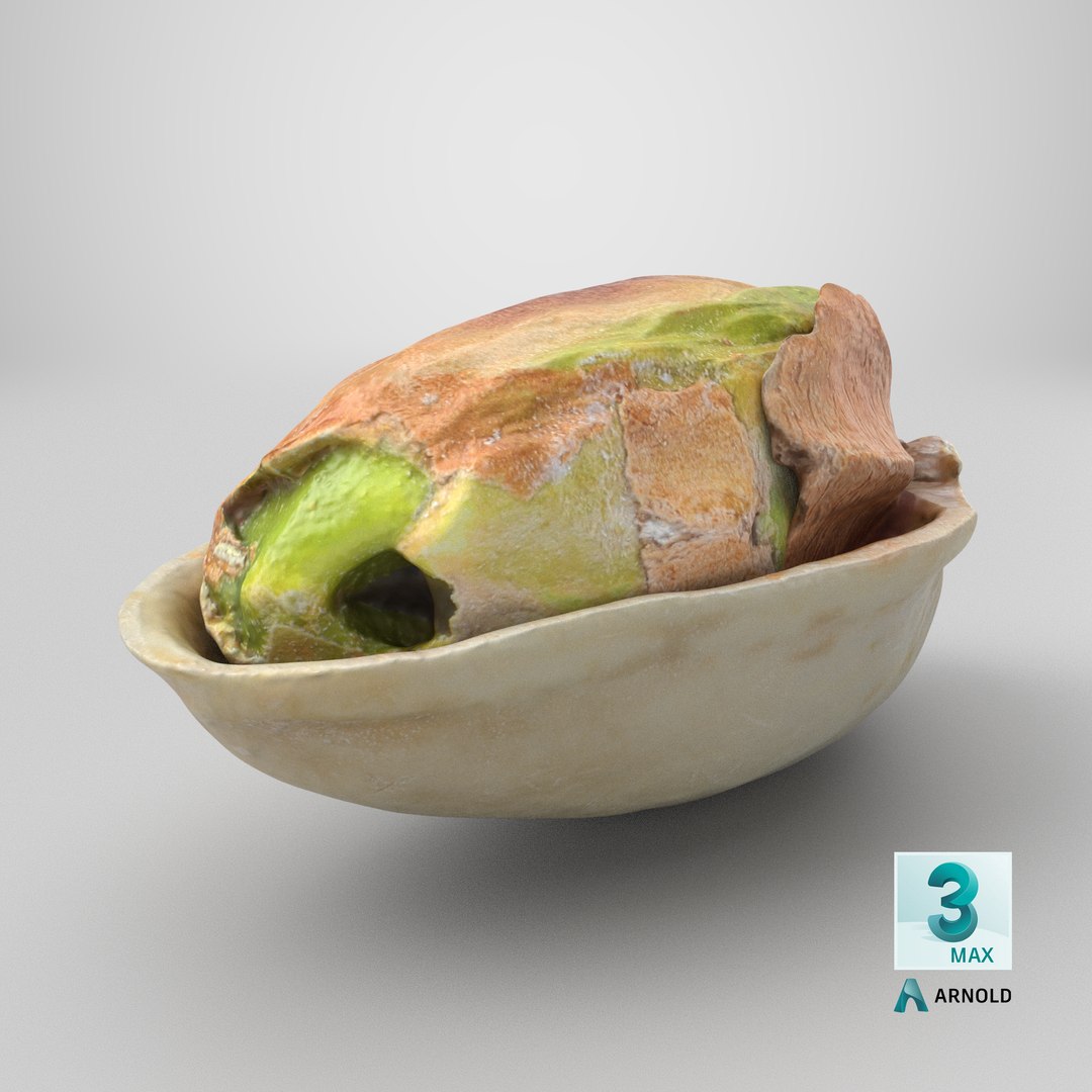 Half Pistachio Nut in Shell 01 model https://p.turbosquid.com/ts-thumb/UR/mA2gJ1/5Y/stemcell_max_arnold_render/png/1755579559/1920x1080/fit_q87/96c2890e21bf926f7c66054992c3560fece0482c/stemcell_max_arnold_render.jpg