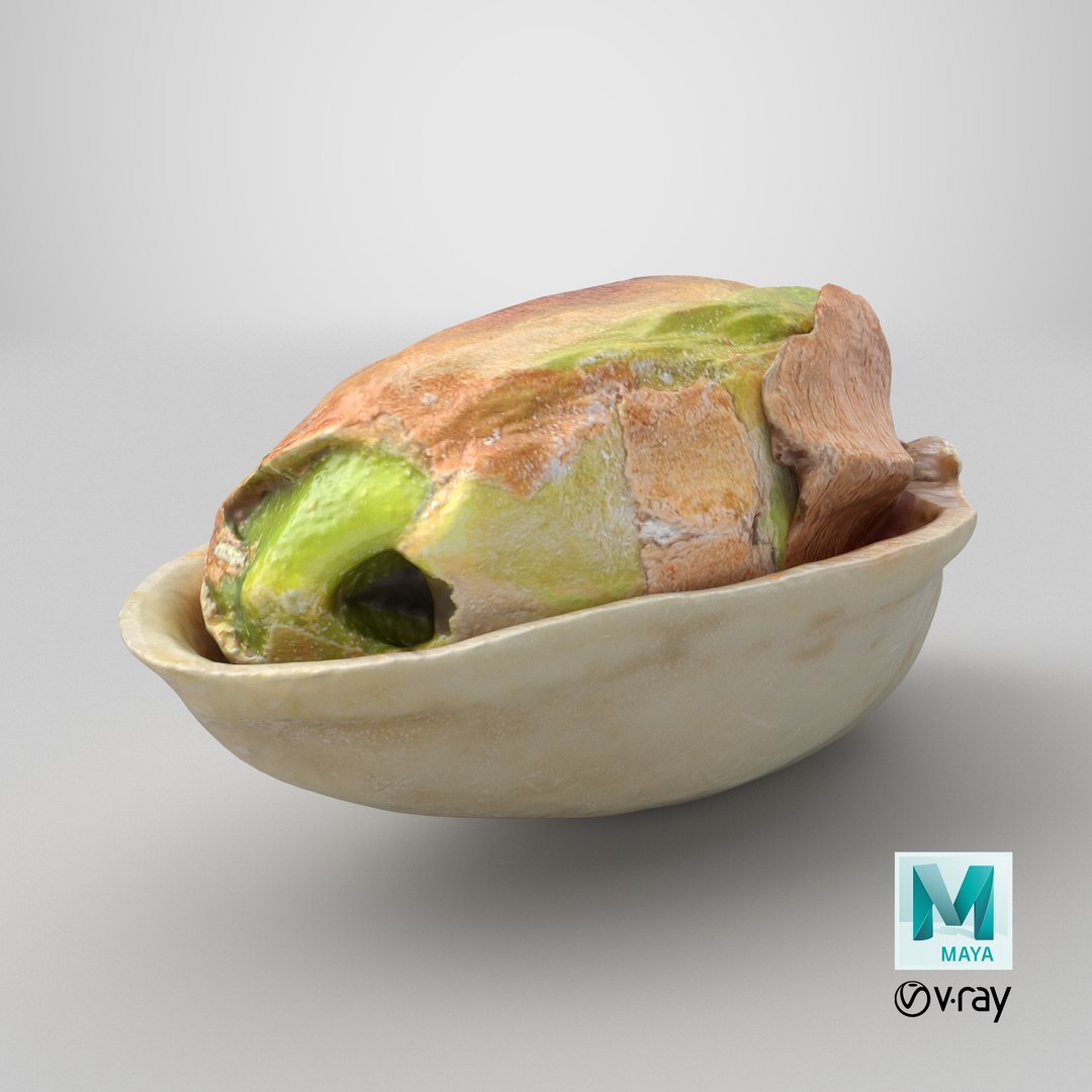 Half Pistachio Nut in Shell 01 model https://p.turbosquid.com/ts-thumb/UR/mA2gJ1/6j/stemcell_maya_vray_render/png/1755579552/1920x1080/fit_q87/b68d1eadf29e3018331fff596d54ef131e8c832a/stemcell_maya_vray_render.jpg