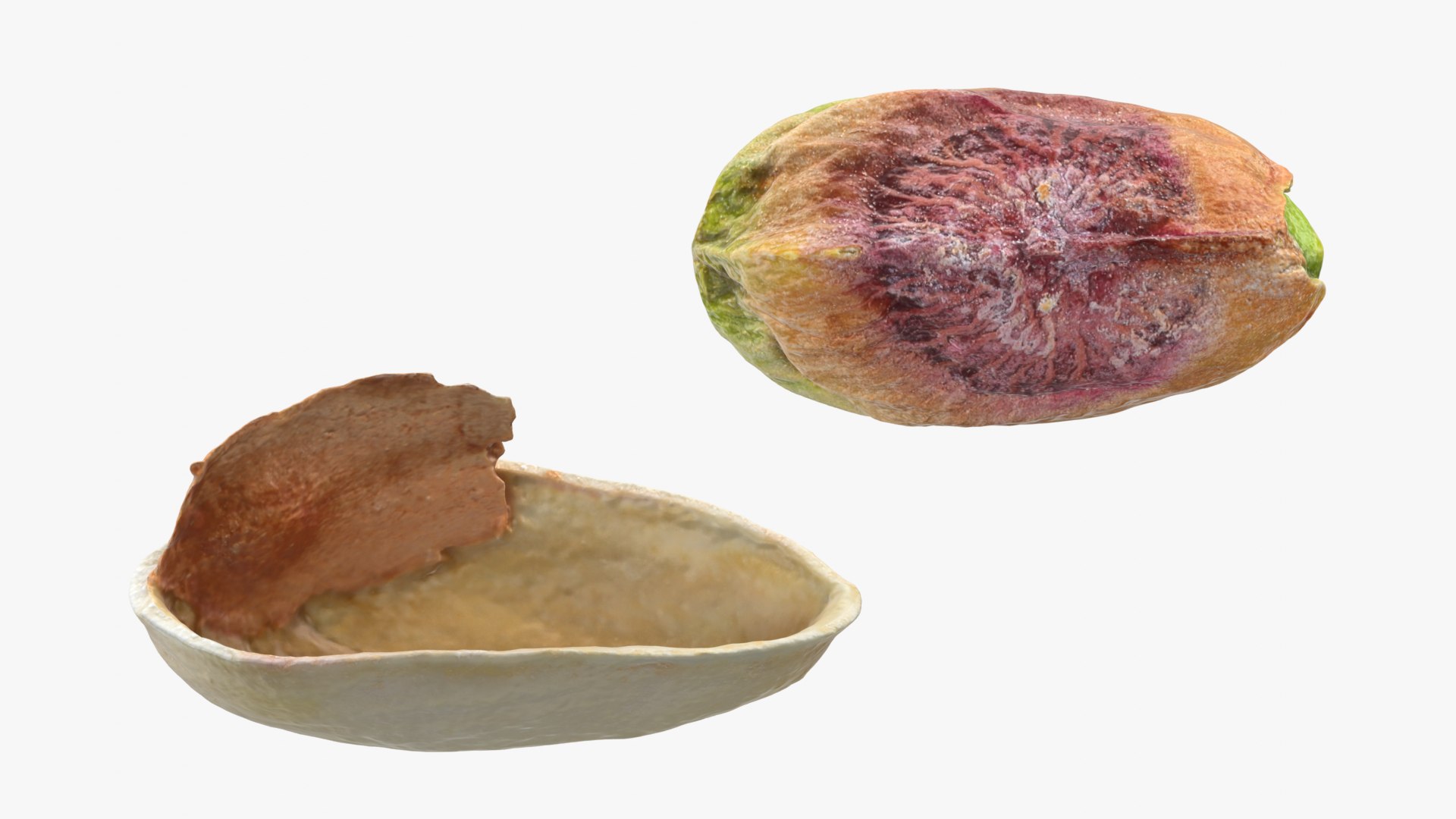 Half Pistachio Nut in Shell 01 model https://p.turbosquid.com/ts-thumb/UR/mA2gJ1/6t/pistachio_0001b/png/1755256986/1920x1080/fit_q87/ee9e81d4392b697e4015b9dee790829e844df045/pistachio_0001b.jpg