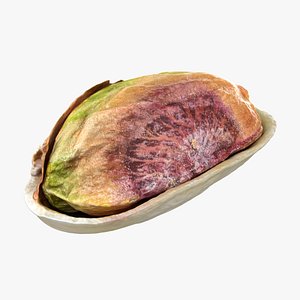 Half Pistachio Nut in Shell 01