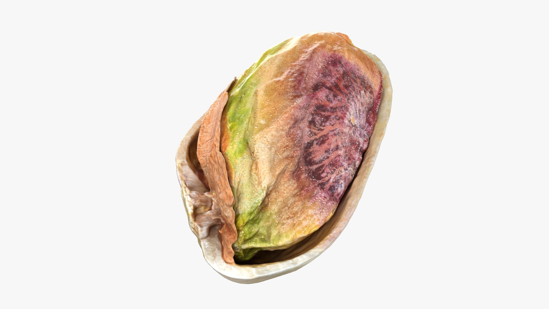 Half Pistachio Nut in Shell 01 model https://p.turbosquid.com/ts-thumb/UR/mA2gJ1/QS/pistachio_0005/png/1755256989/1920x1080/fit_q87/4f45d68a31b90e1bebc89541874af1679527ed62/pistachio_0005.jpg