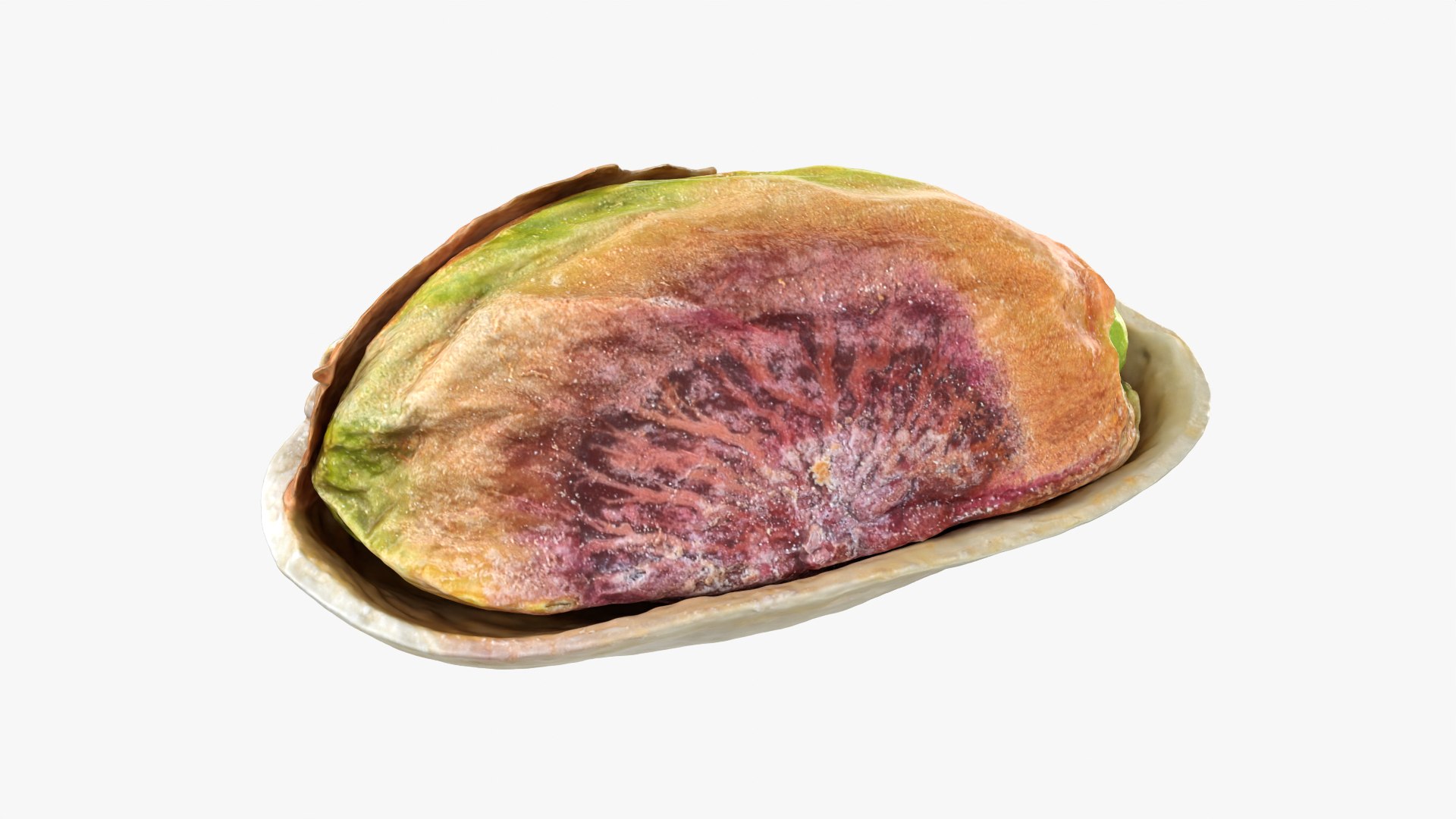 Half Pistachio Nut in Shell 01 model https://p.turbosquid.com/ts-thumb/UR/mA2gJ1/aP/pistachio_0004/png/1755256990/1920x1080/fit_q87/41b5bb8ee585721900b00f54279c54f67f62a81a/pistachio_0004.jpg