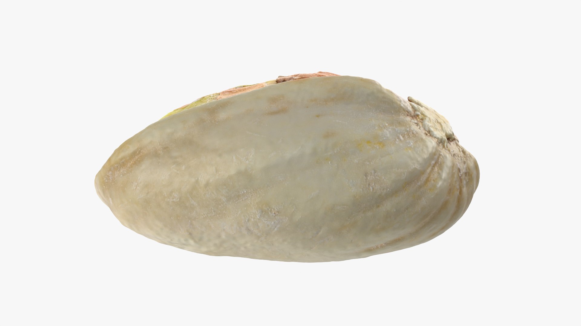 Half Pistachio Nut in Shell 01 model https://p.turbosquid.com/ts-thumb/UR/mA2gJ1/bQ/pistachio_0012/png/1755256998/1920x1080/fit_q87/89a0504cdf7d95c7d17740078c8c6d1c90828bbe/pistachio_0012.jpg
