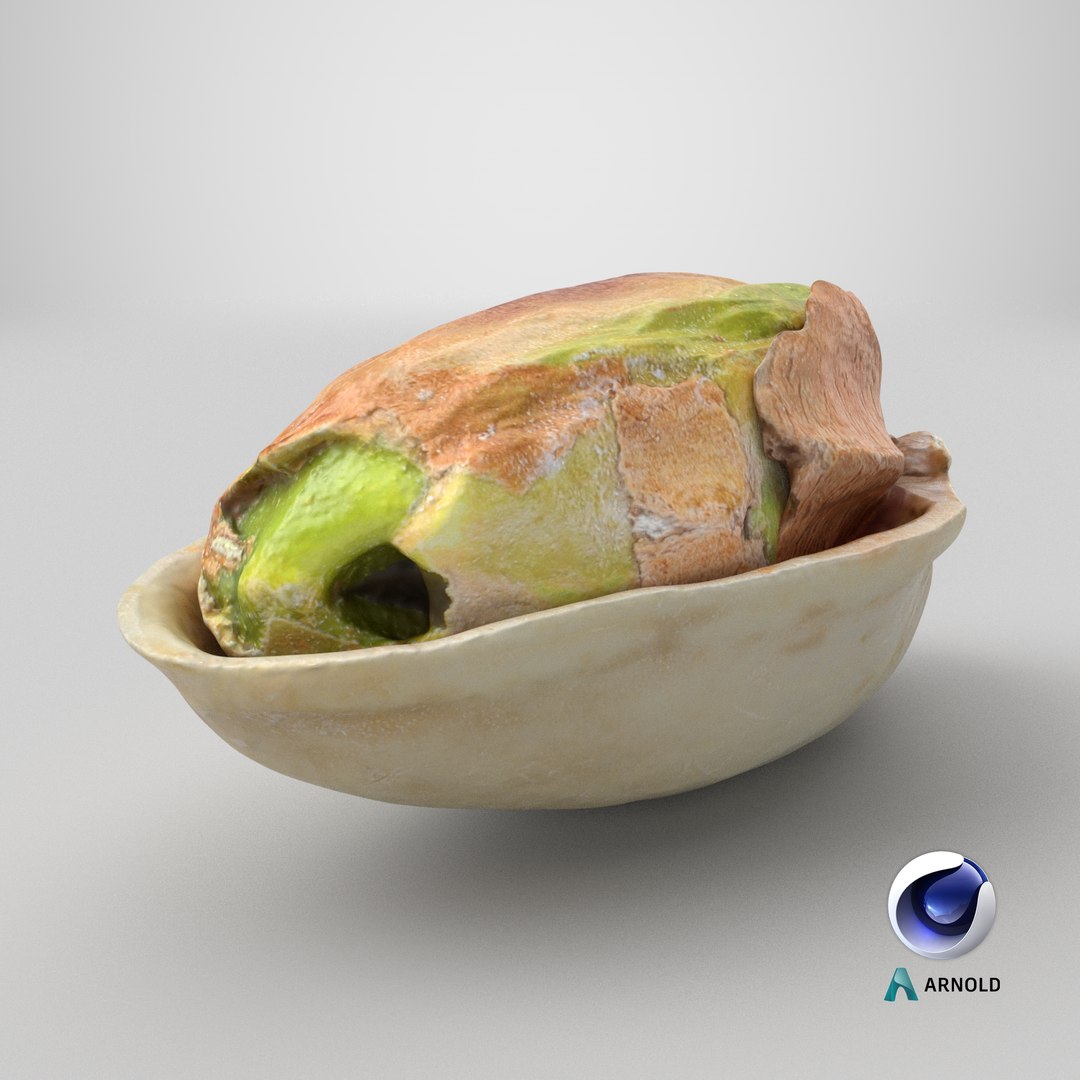Half Pistachio Nut in Shell 01 model https://p.turbosquid.com/ts-thumb/UR/mA2gJ1/ej/stemcell_cinema_4d_arnold_render/png/1755579553/1920x1080/fit_q87/d7cf3da5e418cf12f966d74b0142ea8ade8cea52/stemcell_cinema_4d_arnold_render.jpg