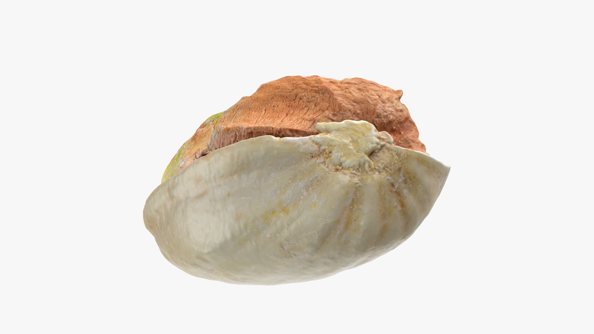 Half Pistachio Nut in Shell 01 model https://p.turbosquid.com/ts-thumb/UR/mA2gJ1/iO/pistachio_0003/png/1755256987/1920x1080/fit_q87/51d03eea58b0fd3112f83358def2c1ce259fb171/pistachio_0003.jpg