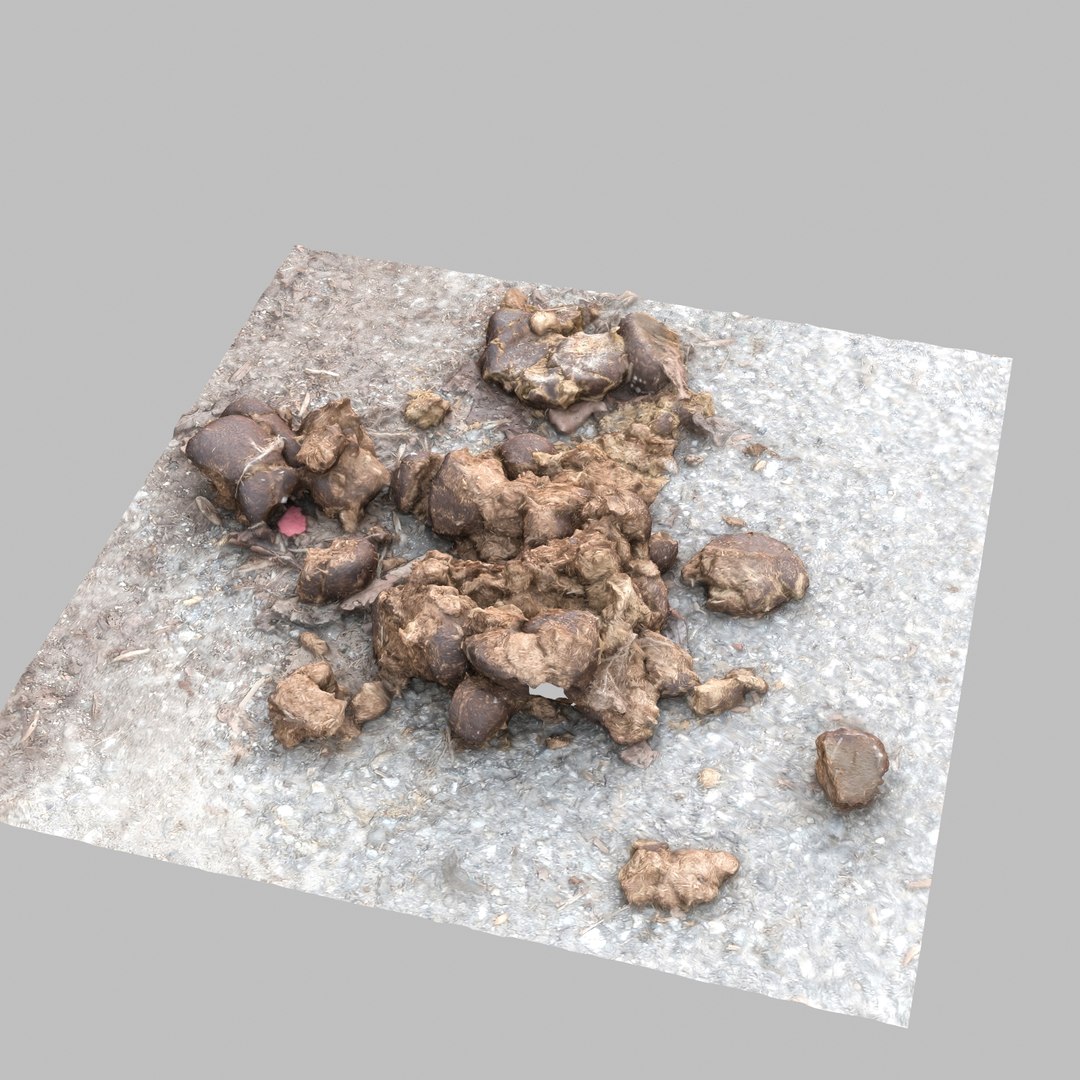 3D poop poo horse https://p.turbosquid.com/ts-thumb/UR/q3hDgb/pyoOYMeV/03/jpg/1548749173/1920x1080/fit_q87/10039206ac72df65ad905e6fb7c54c65b3c48c75/03.jpg