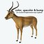Antylopa Impala