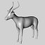 Antylopa Impala