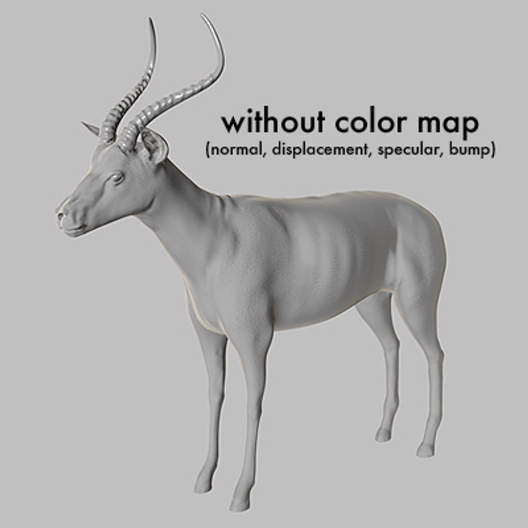 3d impala antelope https://p.turbosquid.com/ts-thumb/UR/qprmT8/pm23hivw/impala14/jpg/1198584975/1920x1080/fit_q87/5f9dbcb4ca3b4f2e59ebcc7a1e088edf1c111280/impala14.jpg