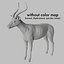Antylopa Impala