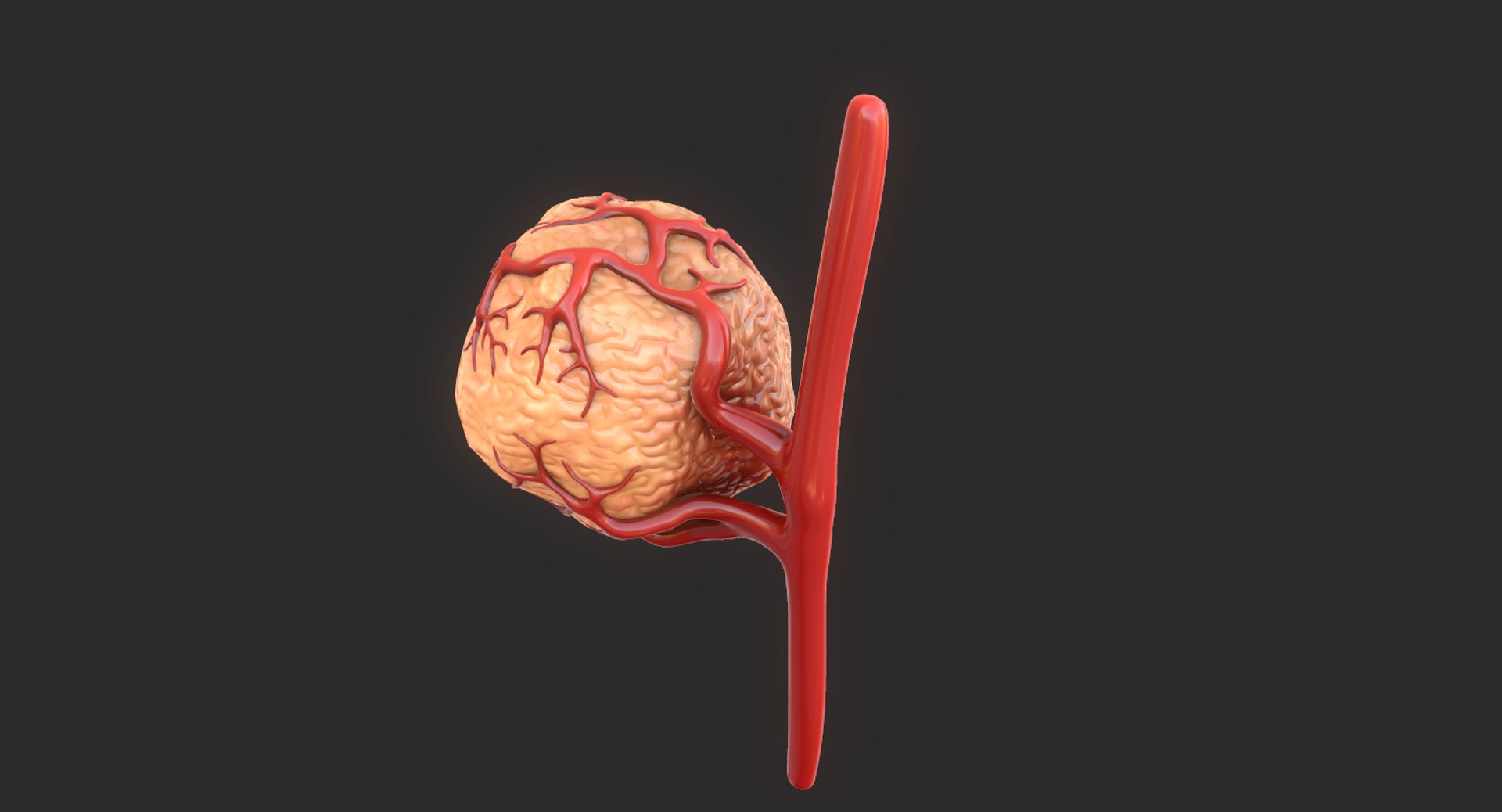 3D model tumor vessels https://p.turbosquid.com/ts-thumb/UR/s774mi/epViPuST/4/png/1562676773/1920x1080/fit_q87/b81c222287666838ff0da87151b9eeb145420b38/4.jpg