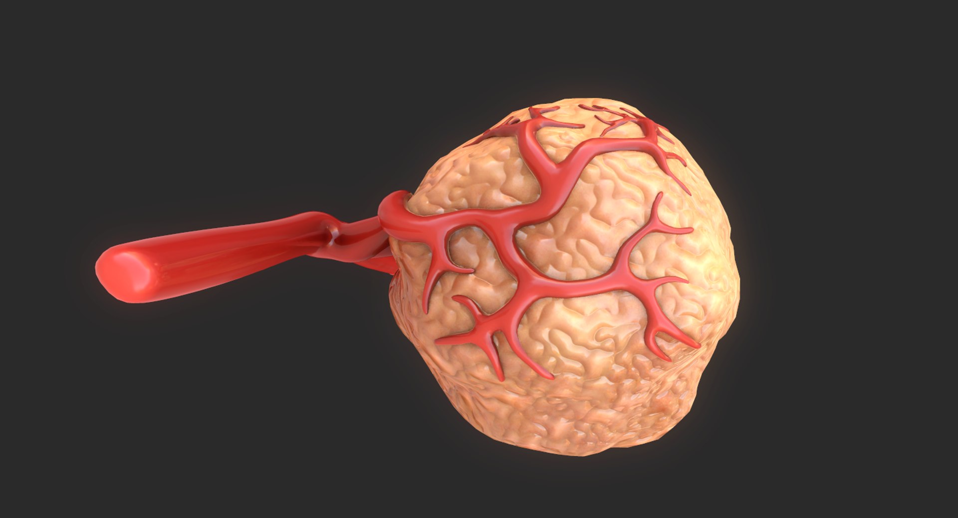 3D model tumor vessels https://p.turbosquid.com/ts-thumb/UR/s774mi/gPwHu3GD/15/png/1562676773/1920x1080/fit_q87/8c94633638ebe14969df2d111336d20838f0ebea/15.jpg