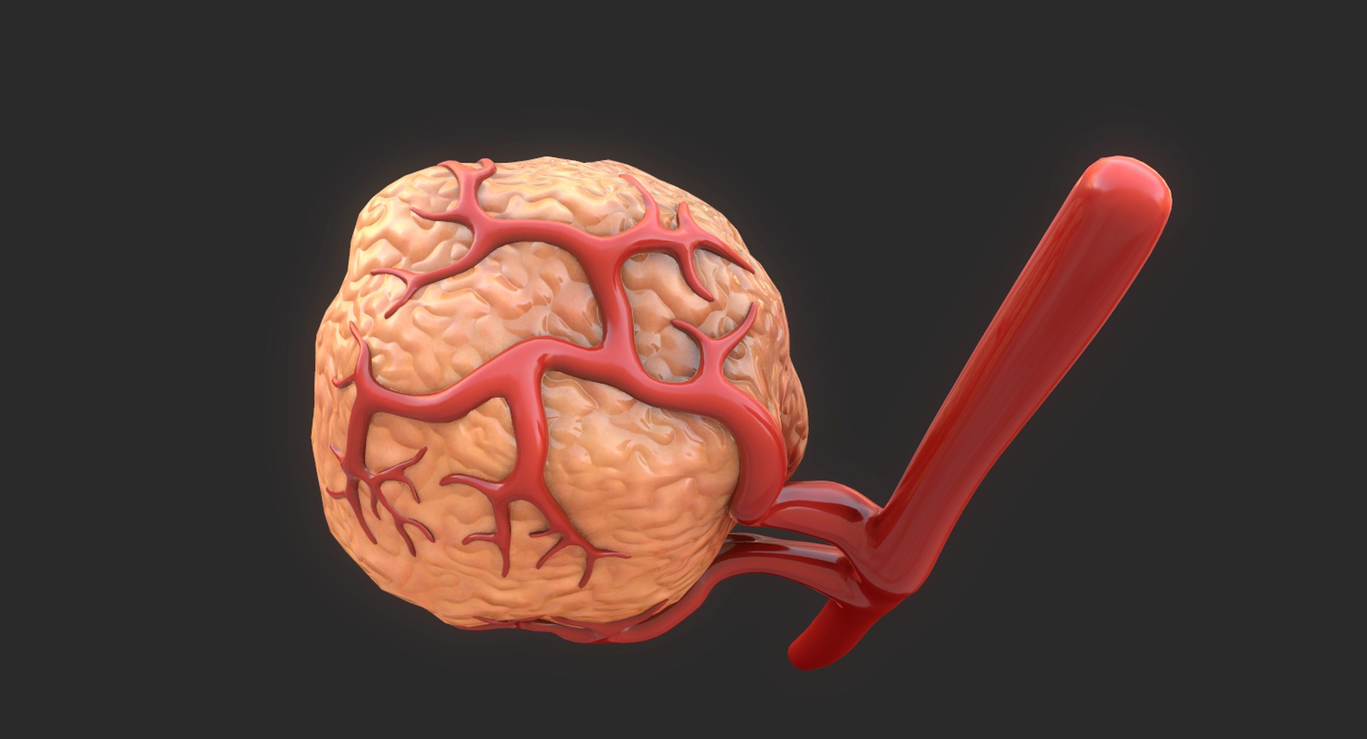 3D model tumor vessels https://p.turbosquid.com/ts-thumb/UR/s774mi/x5h3EhZD/11/png/1562676773/1920x1080/fit_q87/3619f744824aba3305a638cb36848ca75708a5f7/11.jpg
