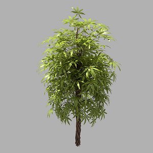 forest - sightseeing trees model