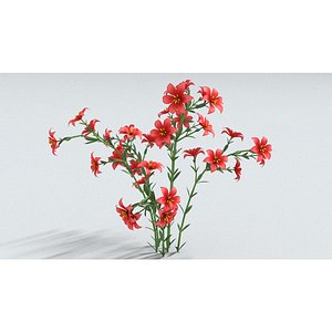 3D model laos Lilium