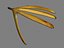 Rigged Banana Hand