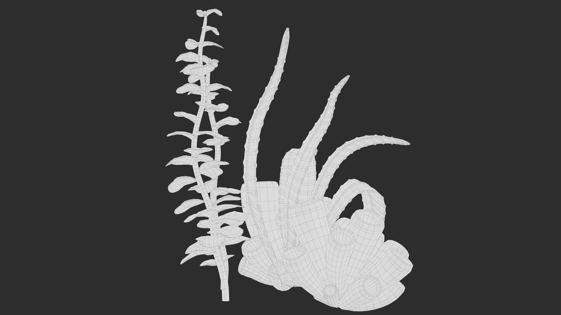 3D Cartoon Coral Reef Type 1 PBR https://p.turbosquid.com/ts-thumb/US/BfhkOn/2S/screenshot206/png/1699505204/1920x1080/fit_q87/9ff292926f341ba972dc25949e22ec3e19786967/screenshot206.jpg