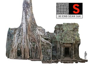 Ancient Tree Temple 16 K