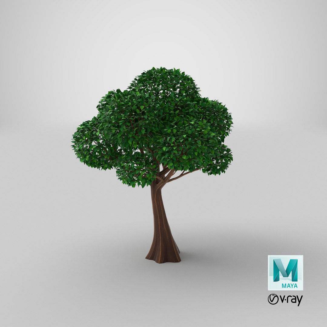 Cartoon Tree 3 3D model https://p.turbosquid.com/ts-thumb/US/P1uJaX/6w/stemcell_maya_vray_render/png/1658155028/1920x1080/fit_q87/64c49356d98fbb1657264753ae47a26f15dda5ba/stemcell_maya_vray_render.jpg