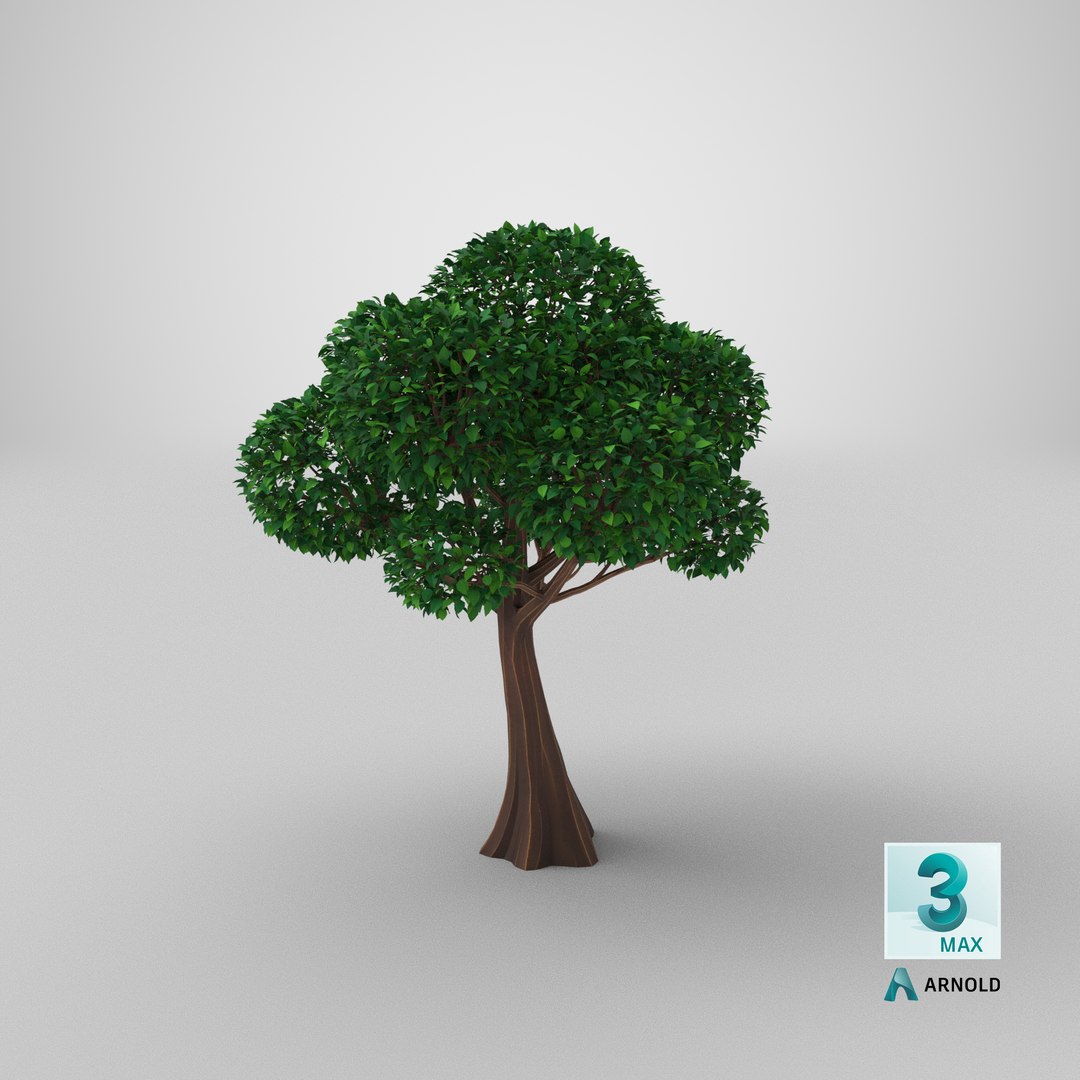 Cartoon Tree 3 3D model https://p.turbosquid.com/ts-thumb/US/P1uJaX/Fr/stemcell_max_arnold_render/png/1658155018/1920x1080/fit_q87/5e4d22fd2041df89e4d3b9eb0b522f9a3193d307/stemcell_max_arnold_render.jpg