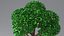 Albero dei cartoni animati 3