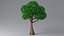 Albero dei cartoni animati 3