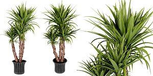 3D Collection plant vol 388 - blender model model