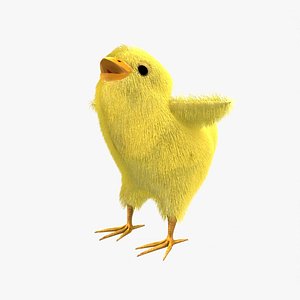 3D mozartland easter chick
