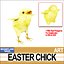 3D mozartland easter chick