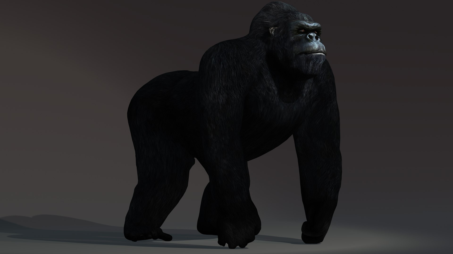 GORILLA 3D model - TurboSquid 2082342