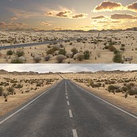 Desert Road